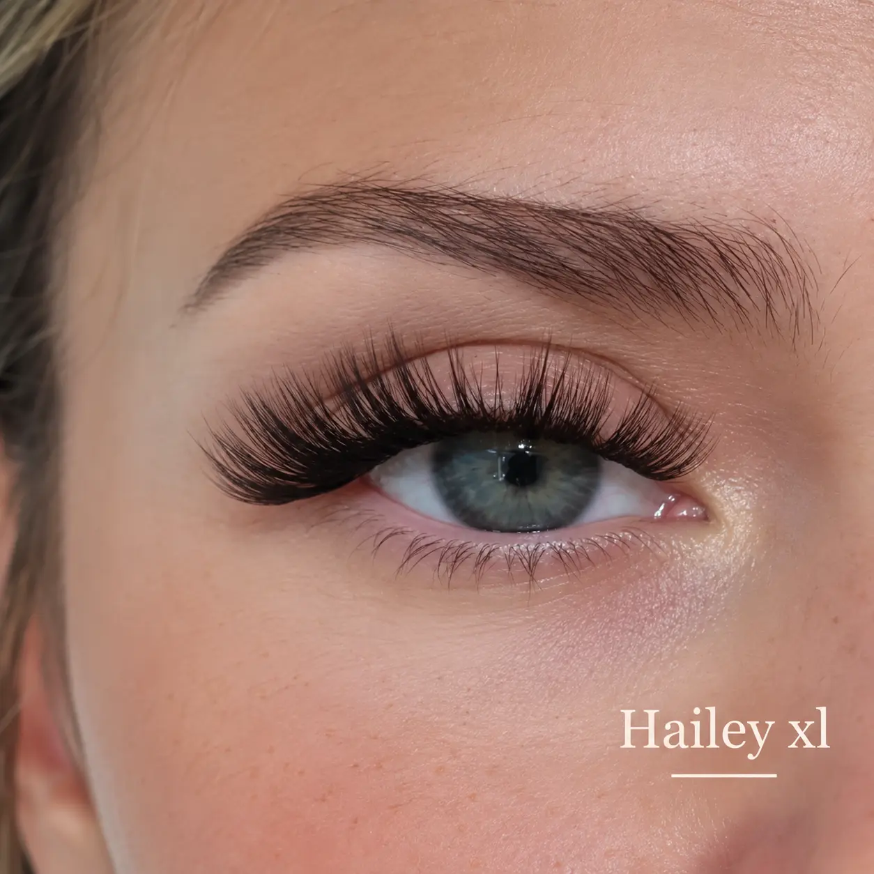 Rendu porté des faux cils cluster Hailey XL