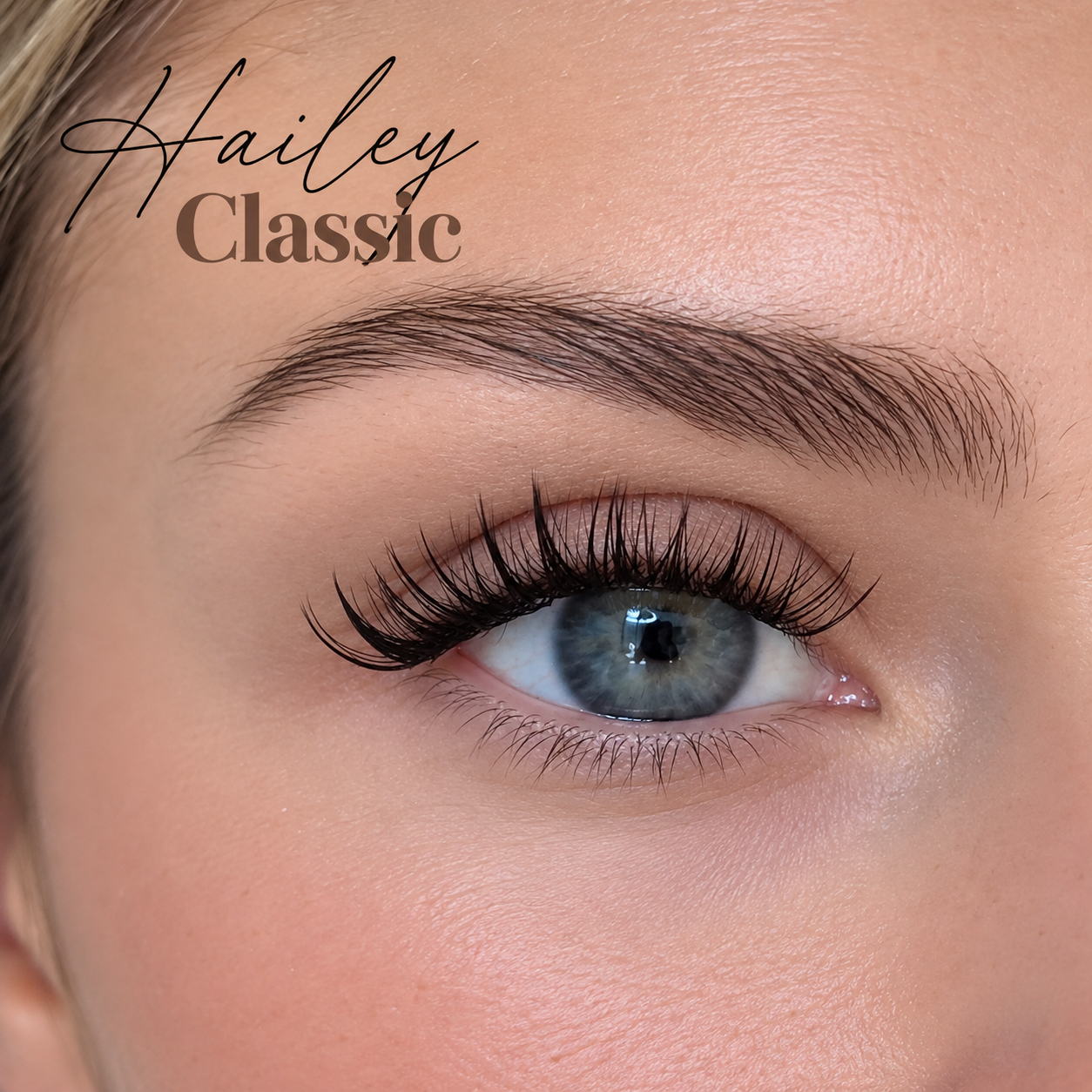 Rendu porté des faux cils cluster Hailey Classic