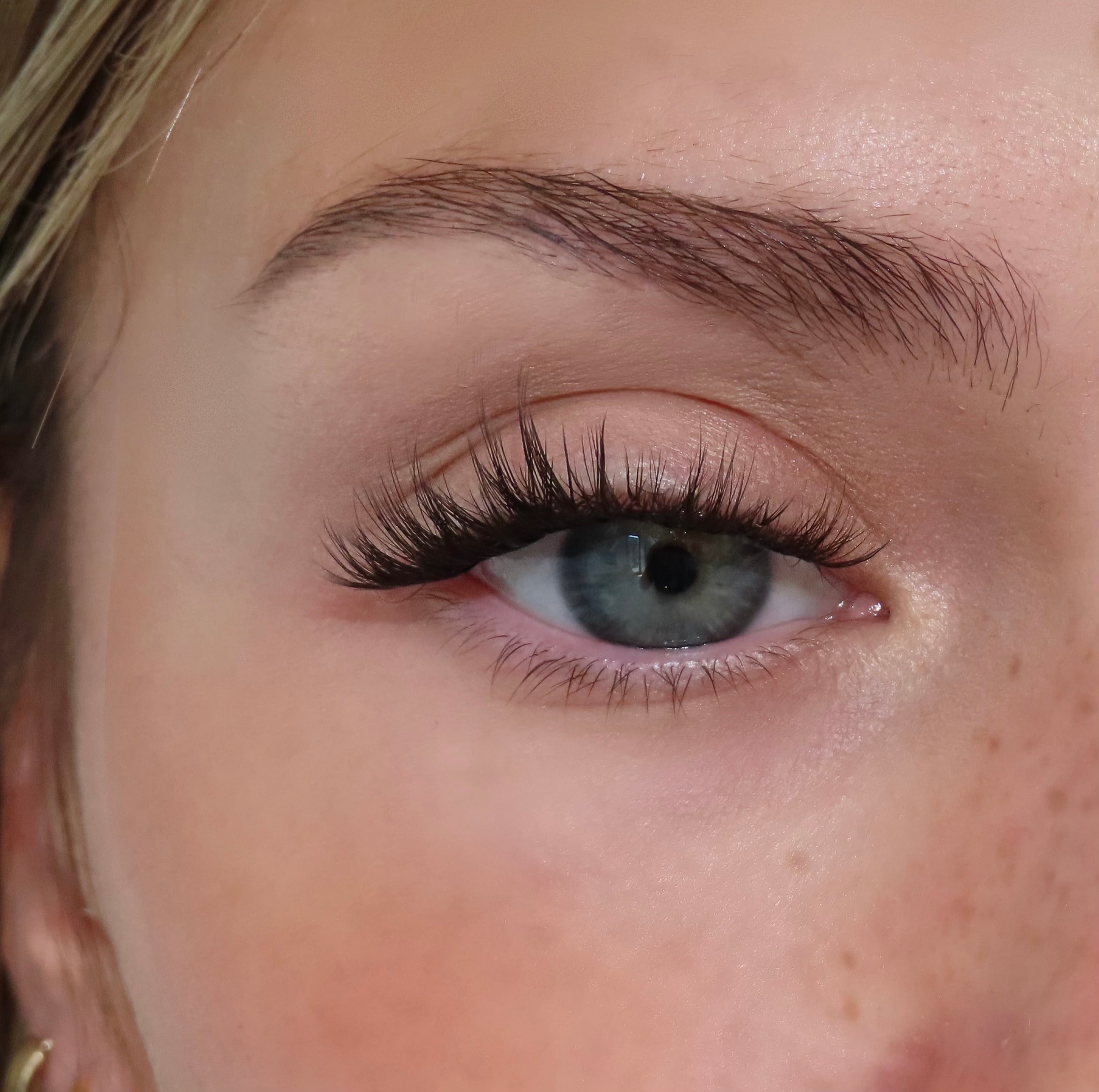 Faux cils cluster Dolly D