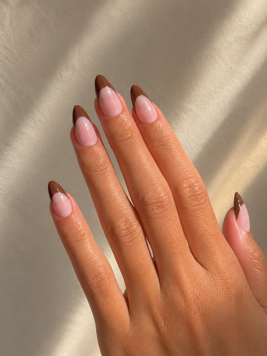 French Marron Chocolat - Collection Glazed